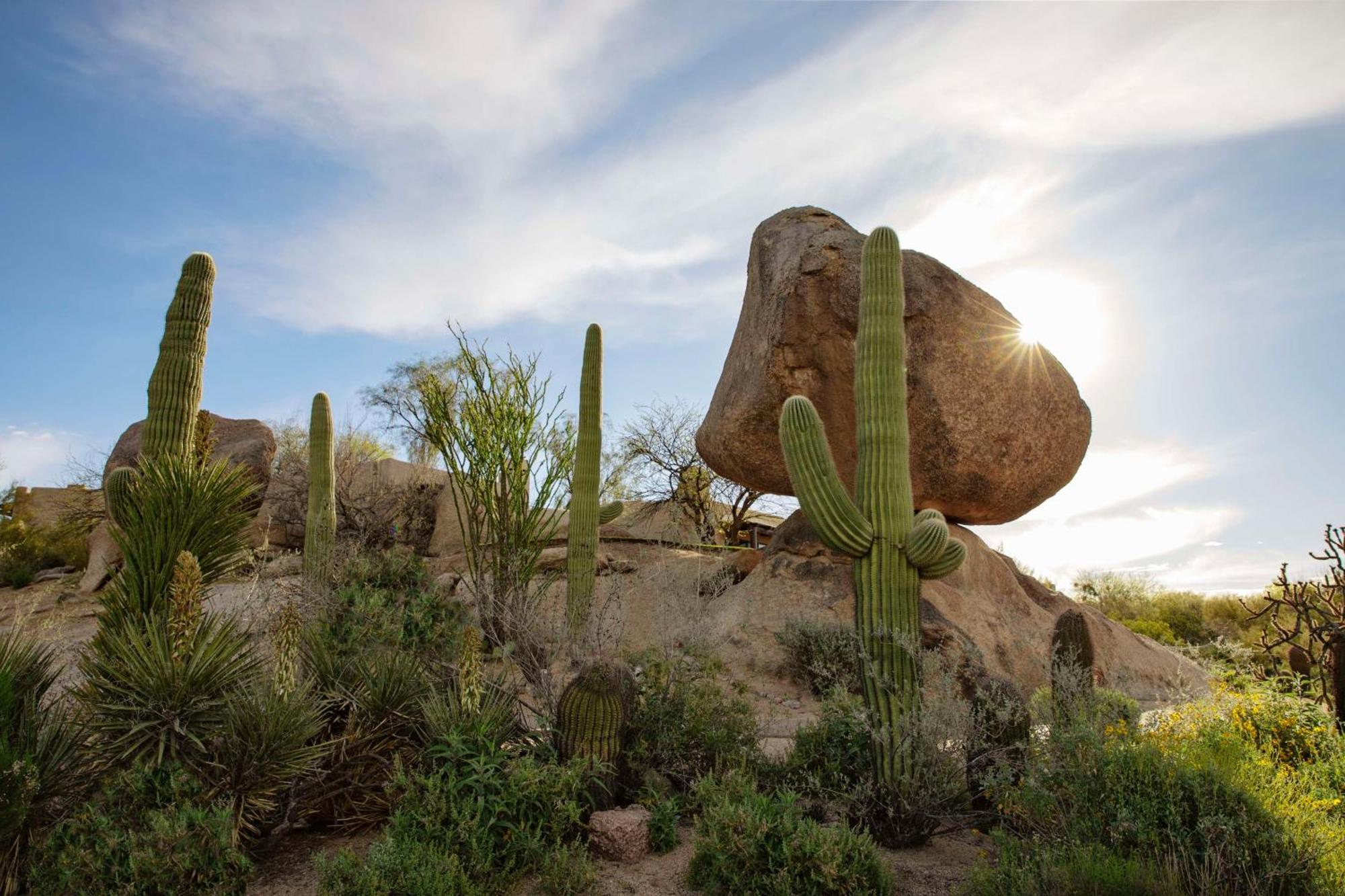 Boulders Resort & Spa Scottsdale, Curio Collection By Hilton Exterior photo